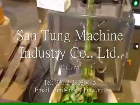 Vertical filling sealing machine + Mulit-weighter ERL-M 立式包裝機+多頭秤