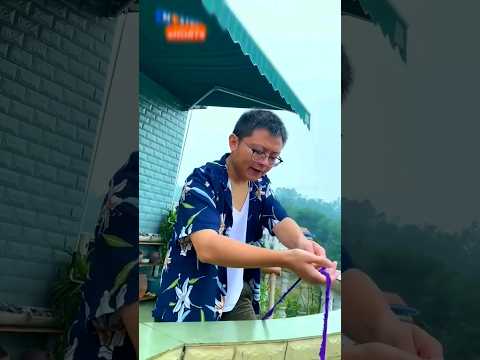 जॉली भाई की मस्ती: दोस्ती का मजेदार सफर 😄 || Ultimate Husband-Wife Fun! #shorts