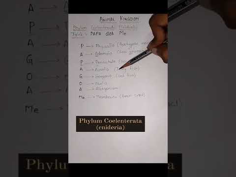 Animal Kingdom Tricks| phylum Coelenterata (cnideria) tricks#animalkingdom #neet #phylumcoelenterata