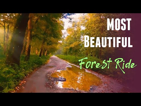 Most Beautiful Forest Ride