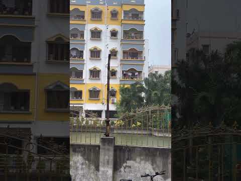 🥹🥹🥹🥹 #guitar #music #guitarcover