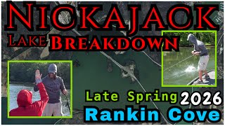 Nickajack Lake Breakdown; Spring 2026, Rankin Cove Special