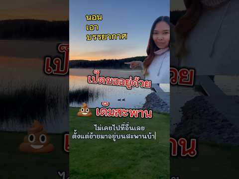 นอน #กางเต็นท์ ข้างทะเลสาบที่ #สวีเดน 🇹🇭🇸🇪 #เที่ยวต่างประเทศ #shorts #ธรรมชาติ #บรรยากาศดีมาก