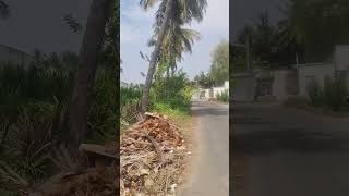 செம்மையான வெயில் 👍👍