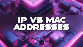 IP vs MAC addresses | IGCSE Computer Science Past Paper Solution