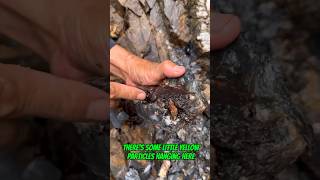 #traditional #goldmining I made $3,000 from gold circuits in coal without anyone knowing #goldrush