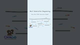 How are DNA Libraries Made for NGS?