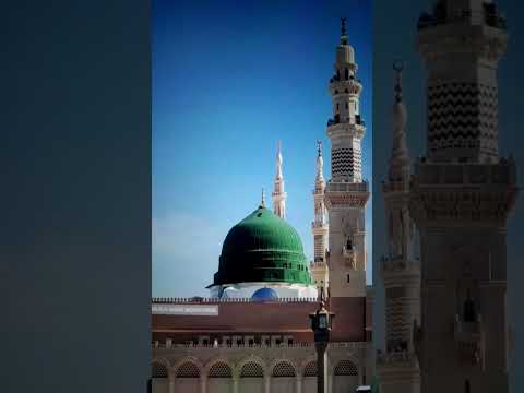 Jashn e Amad e Rasool - Farhan Ali Qadri #islam #freepalestine #shorts #youtubeshorts #shortvideo