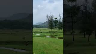 Thonikadavu | Unexplored Destinations on Calicut