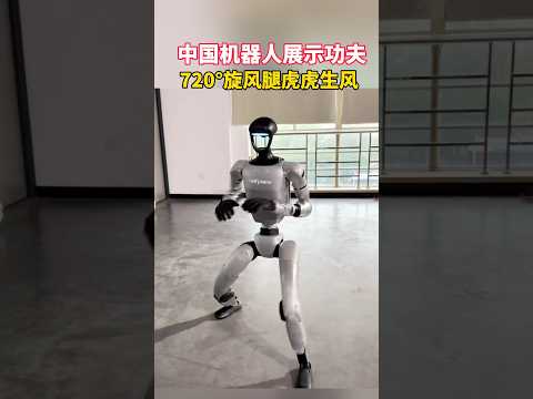 Chinese robot kung fu