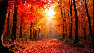 Fall Question & Answer 🍁🍂~2026~🍂🍁