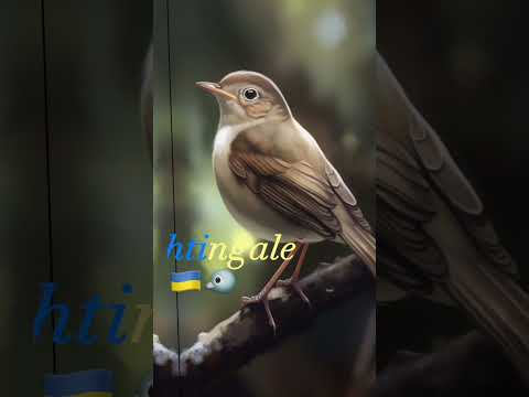 Your Country's National Animal - Part 4