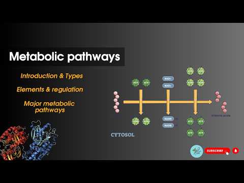 Metabolic pathways Introduction | Bioenergetics| Biochemistry