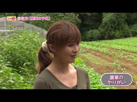 （Short ver.）佐々木さやかの「さや活」第７回