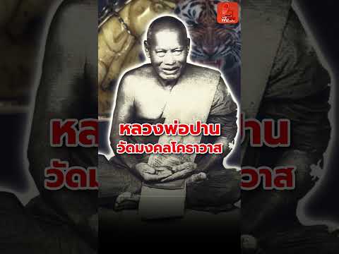 4/15 เขี้ยวเสือ หลวงพ่อปาน วัดมงคลโคธวาส