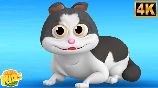 Billi Karti Meow Meow, Kalu Madari Aaya + More Hindi Nursery Rhymes for Kids, हिंदी कविताएँ