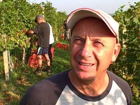 DBGitalia meets Gigi Roagna at Antica Cascina Conti di Roero's SRU Arneis vyd, Sept'19