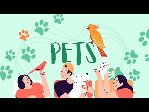 PETS for Kids | Spelling Video for Children