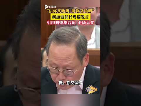 “讲你又唔听 听你又唔明”  新加坡部长粤语发言引用刘德华台词全场大笑（视频来源：n视频）