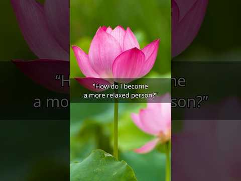 How To Relax #relaxing #relaxing #wisdom #letgo #calm #emotions #meditation