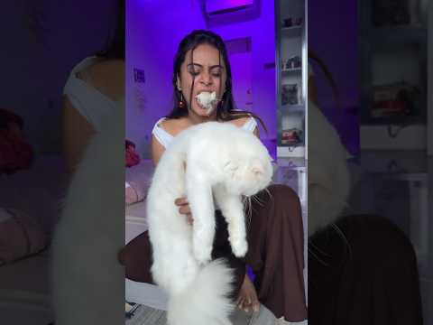 Wait for the end..!!🤣🐈 #shorts