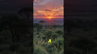 African Sunset Magic 🌅 | Relaxing Time-Lapse (Shorts)