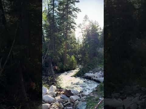 The river #momentinnature #colorado #river