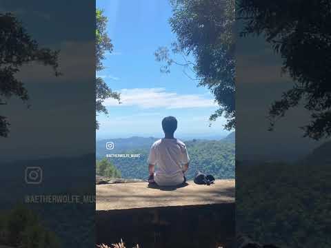 Mini vlog Springbrook national park