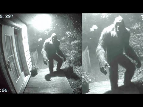 Bigfoot Caught On a CCTV Trying To Get Into The House - Rare Bigfoot Encounter!
