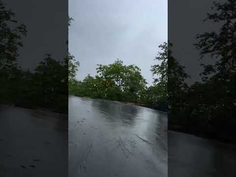 Ride in natural place #music #ride #rain #nature #greenery #love #arijitsingh