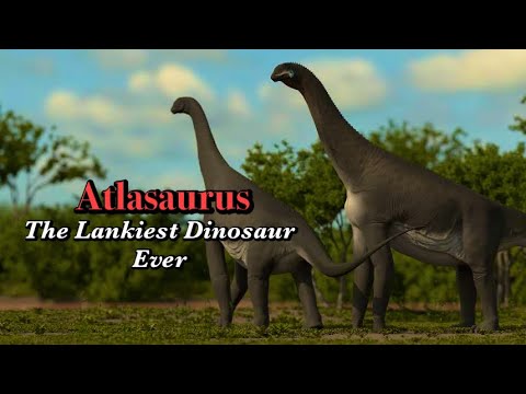 Atlasaurus: The Long-Legged Titan of Africa