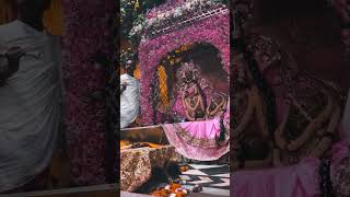 BankeyBihariji #bankeybihari #bankeybiharitemple #holispecial #krishna #vrindavan #ytshorts #viral