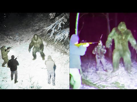 We Tracked Bigfoot Deep Into the Forest in Alaska Before It Went Wrong - Bigfoot Story Compilation