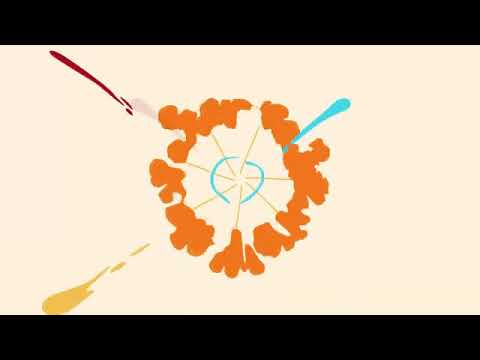 Learn Circles and Angles with Python | Fun Coding for Kids | Xcelvations