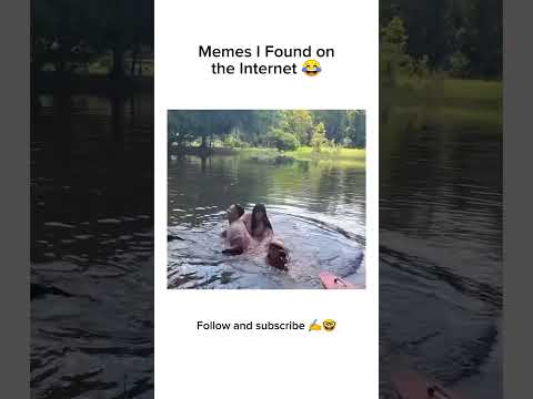 Funny videos