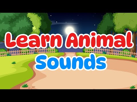 Learn the sounds of common Animals! | Dog🐶Cat🐱 Cow🐮Lion🦁and more!