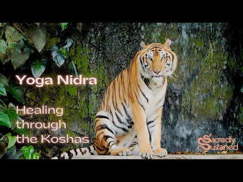 Healing through the Koshas