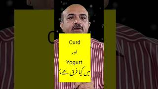 What Is The Difference Between Curd & Yogurt?