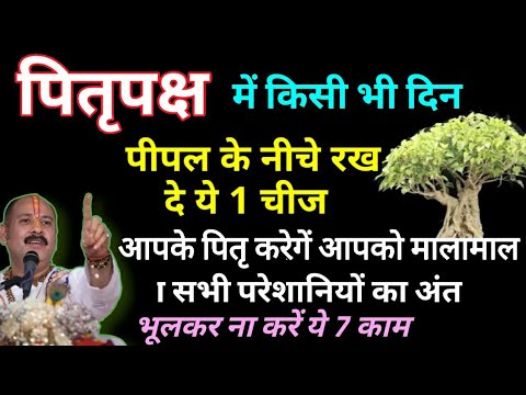 पितृपक्ष में पीपल के नीचे रख दे ये 1 चीज पितृदोष बदल जायेगा पितृ आशिर्वाद में Pitru Paksha 2024