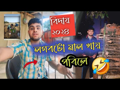 বিদায় ২০২৪😢-বছৰটোতকি কি কৰিলোঁ||The last Video 2024||Assamese Vlogs|