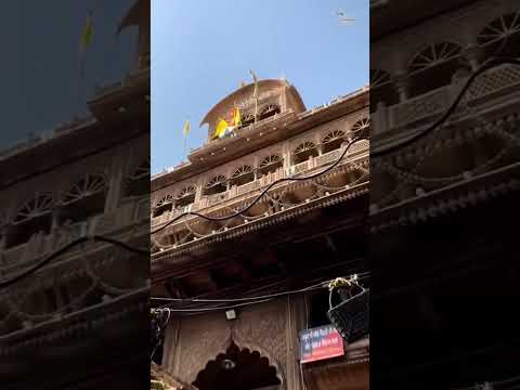 Vrindavan bhakti bhajan #vrindavan_bhakti #shorts #viral #trending #vrindavan
