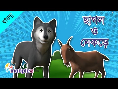 ছাগল এবং নেকড়ের গল্প | ছোটদের রূপকথার গল্প | পঞ্চতন্ত্রের গল্প | নীতিকথার গল্প | মুপল টিভি বাংলা