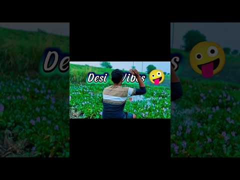Desi Vibes || Village Vlog #villagelife #bihar #shorts