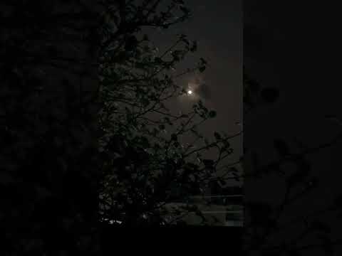 #moon #moonlight #chand #raatein #shorts #viral #song #romantic #status #youtube  #trending