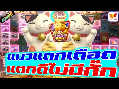 สล็อตวอเลท | สล็อตวอเลทเว็บตรง | เว็บสล็อตวอเลท | แมวแตกเดือด แตกดีไม่ม่กั๊ก