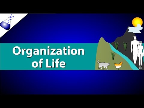 Organization of Life