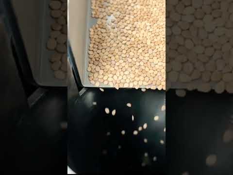 Seed counter CF60-X #innovation #shorts #automaticpackaging #short