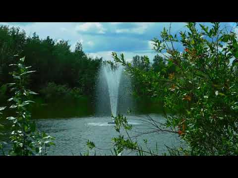 Piano Music With Water Sounds By Relax Music Point