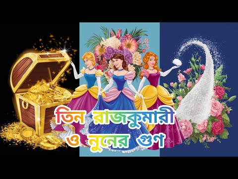 CARTOON TIN RAJKUMARI O NUNER GUN || @CARTOONSANIMATION_7023