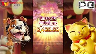 เว็บตรงไม่ผ่านเอเย่นต์!!